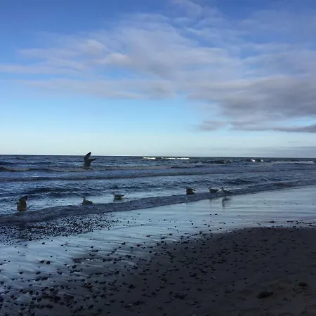 Апартаменты Apartament_20 Дзивновек